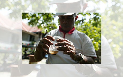 Países de las Américas implementarán un protocolo de vigilancia integrada del dengue