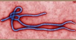 PAHO/WHO Director briefs U.S. Congress members on Ebola preparedness efforts in the Americas