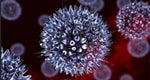 Globally, an estimated two-thirds of the population under 50 are infected with herpes simplex virus type 1