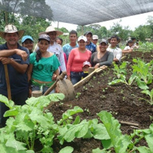 América Latina y el Caribe busca transformar sus sistemas alimentarios para derrotar el hambre y la malnutrición