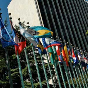 Comité Ejecutivo de la OPS concluyó sesiones con avances en los temas para mejorar la salud en la región