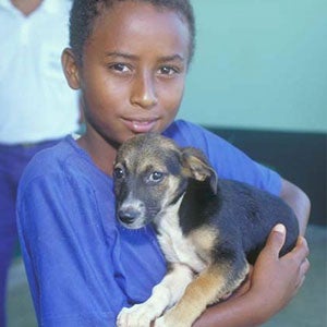 Brazil donates vaccines against human rabies to Haiti, with the support of Panaftosa/PAHO