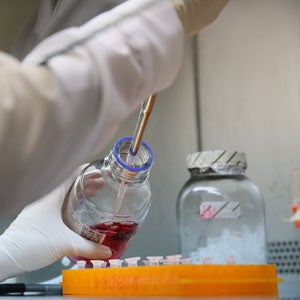 PAHO and BMJ Publishing Group sign agreement to promote health research in the Americas