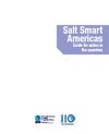 Technical Document: Salt Smart Americas
