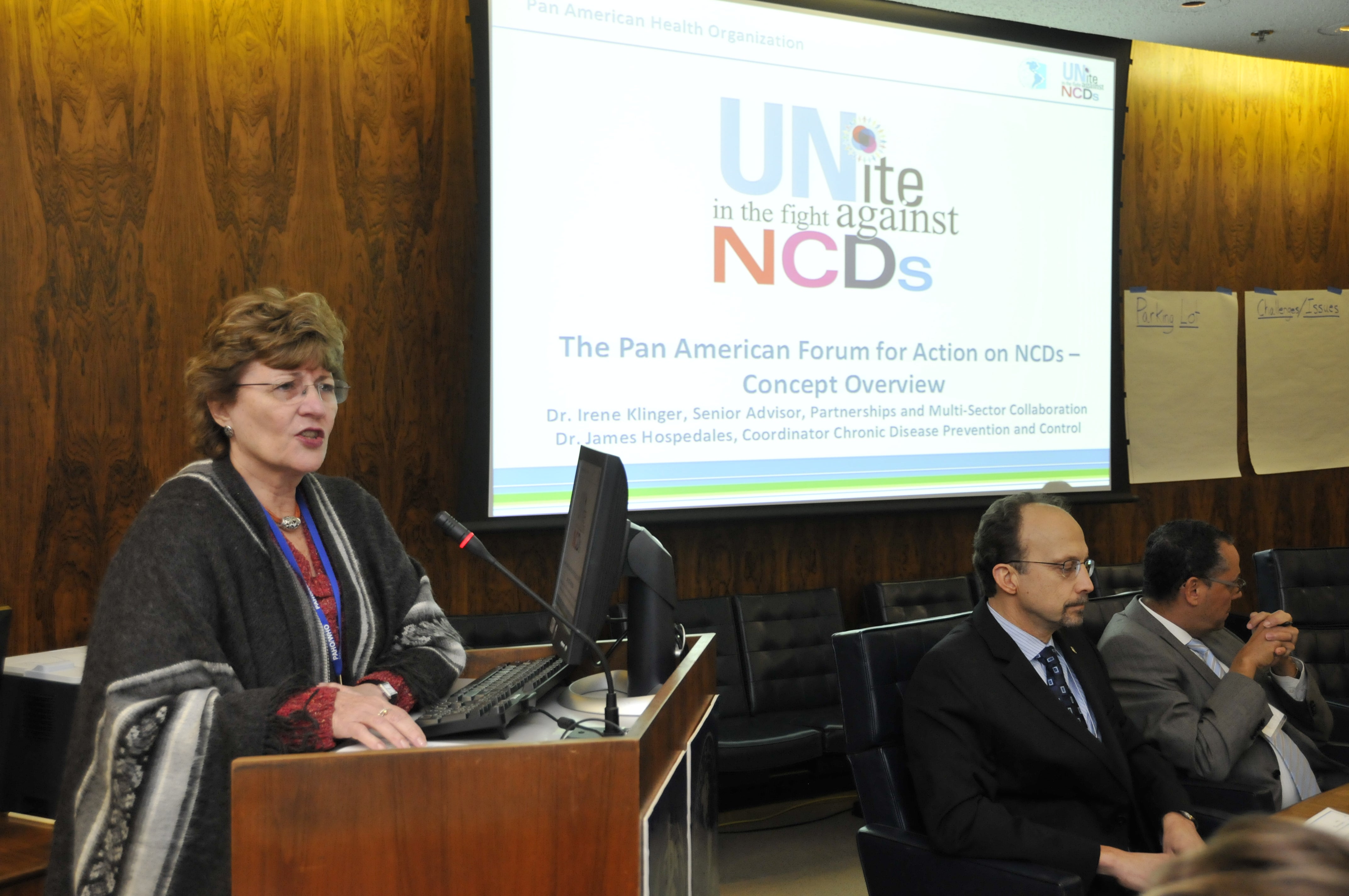 Meeting of the Pan American Forum for Action on Noncommunicable Diseases