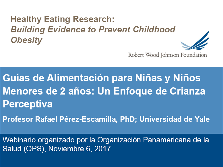 ppt RafaelPerezEscamilla