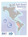 Technical Document: Salt Smart Americas