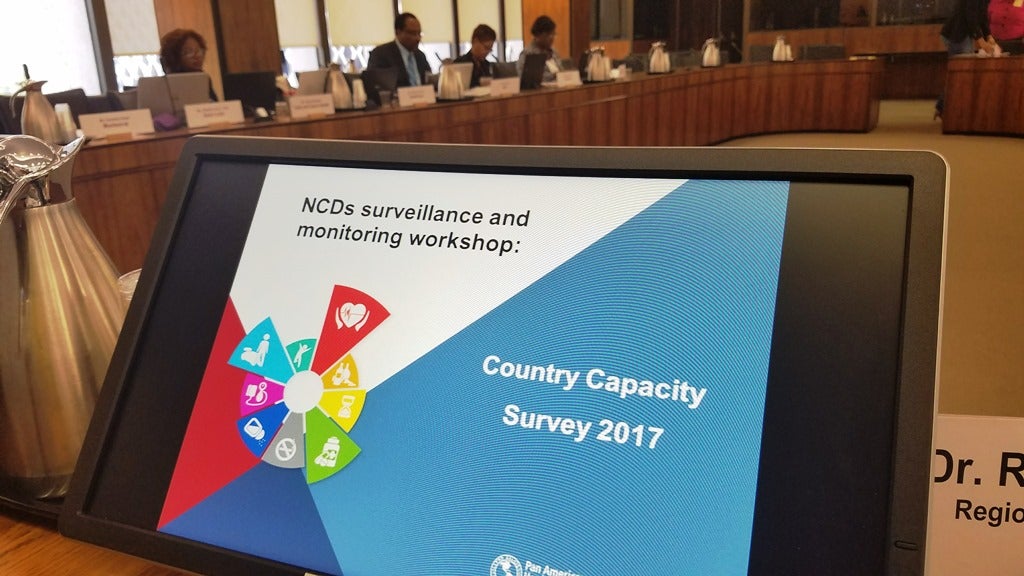 Non-Latin Caribbean countries gather for a Country Capacity Survey Workshop