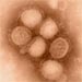 Pandemic A(H1N1): Prompt Treatment Reduces Severity of Illness, Improves Chances of Survival