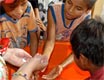 On Global Handwashing Day, the Americas Want to Break a Guinness Record