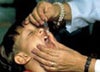 Experts Start Verifying Measles, Rubella Elimination in the Americas