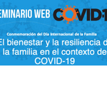 family wellness webinar