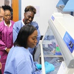 Best dos Santos Lab in Barbados