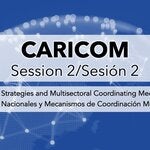 CARICOM session on national strategies and multisectoral coordinating mechanisms