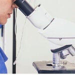Personal de la salud viendo por un microscopio