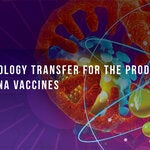 Technology Transfer for the Production of mRNA Vaccines in the Americas