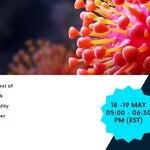 Workshop: Personal protective equipment, quality standards and correct use.” 