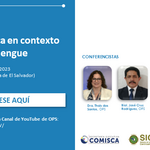 Webinario: La vigilancia epidemiológica en contexto de brotes de dengue