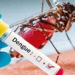 18vo. Curso Internacional de Dengue y otros Arbovirus emergentes