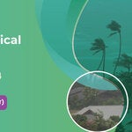 banner del evento. Se muestra foto de zona costera con mar y palmeras visiblemente con viento. También se ve el título del evento y la hora. Foto de playa con palmeras con viento.