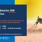 Actualización sobre el manejo clínico del paciente con fiebre amarilla: Experiencias y Recomendaciones