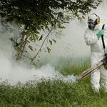 vector control