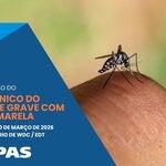 webinario febre amarela