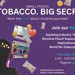 nicotine pouches