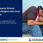 Serie de webinarios: Abordaje integral del chikunguña