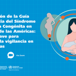 Webinar Guia vigilancia SRC