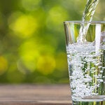 Dia mundial del medio ambiente