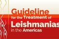 Webinar – Launch and publishing of the Guideline for  Treatment of Leishmaniasis in the Americas