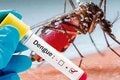 18vo. Curso Internacional de Dengue y otros Arbovirus emergentes