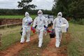 participantes del simulacro fiebre aftosa en Paraguay