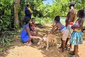 enfants avec un chien