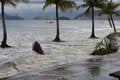  33 playa con aguas agitadas y viento
