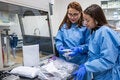 laboratorio