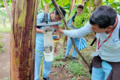 Identificación y vigilancia de culicoides