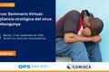 Serie de webinarios: Abordaje integral del chikunguña