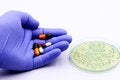 Resistencia a los antimicrobianos: Desafíos emergentes y nuevas fronteras para la respuesta