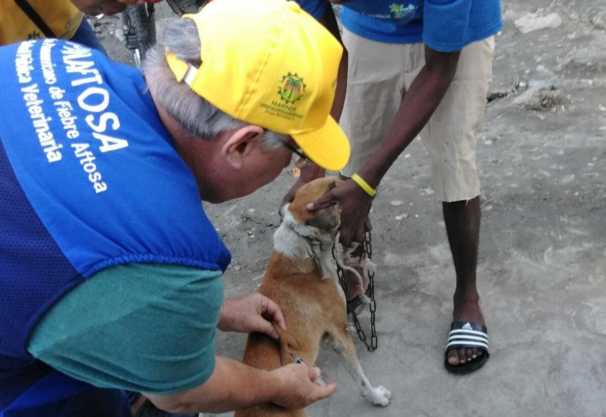 Eliminando la rabia humana transmitida por perros – un esfuerzo de equipo