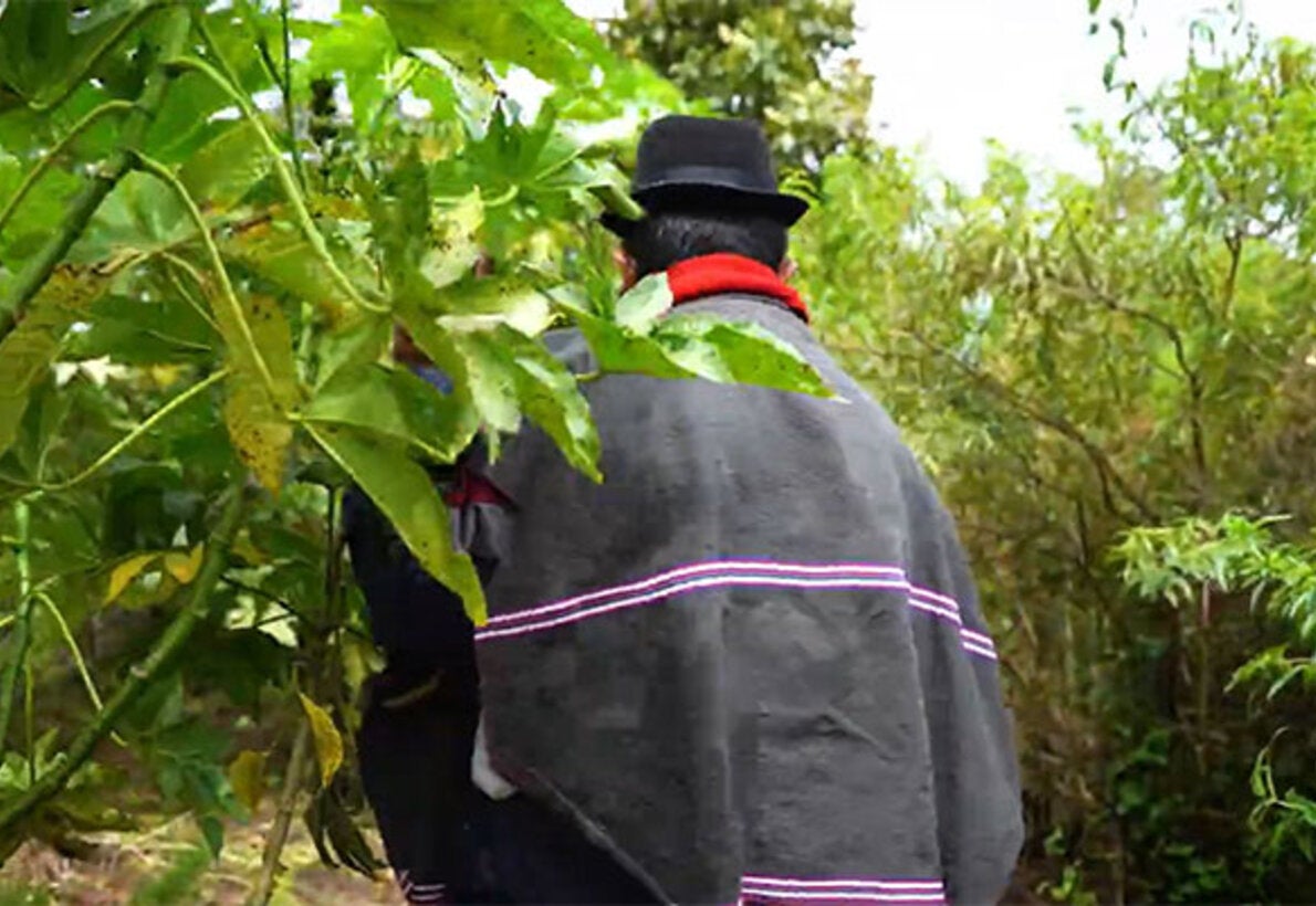 Indigenous man in the montain