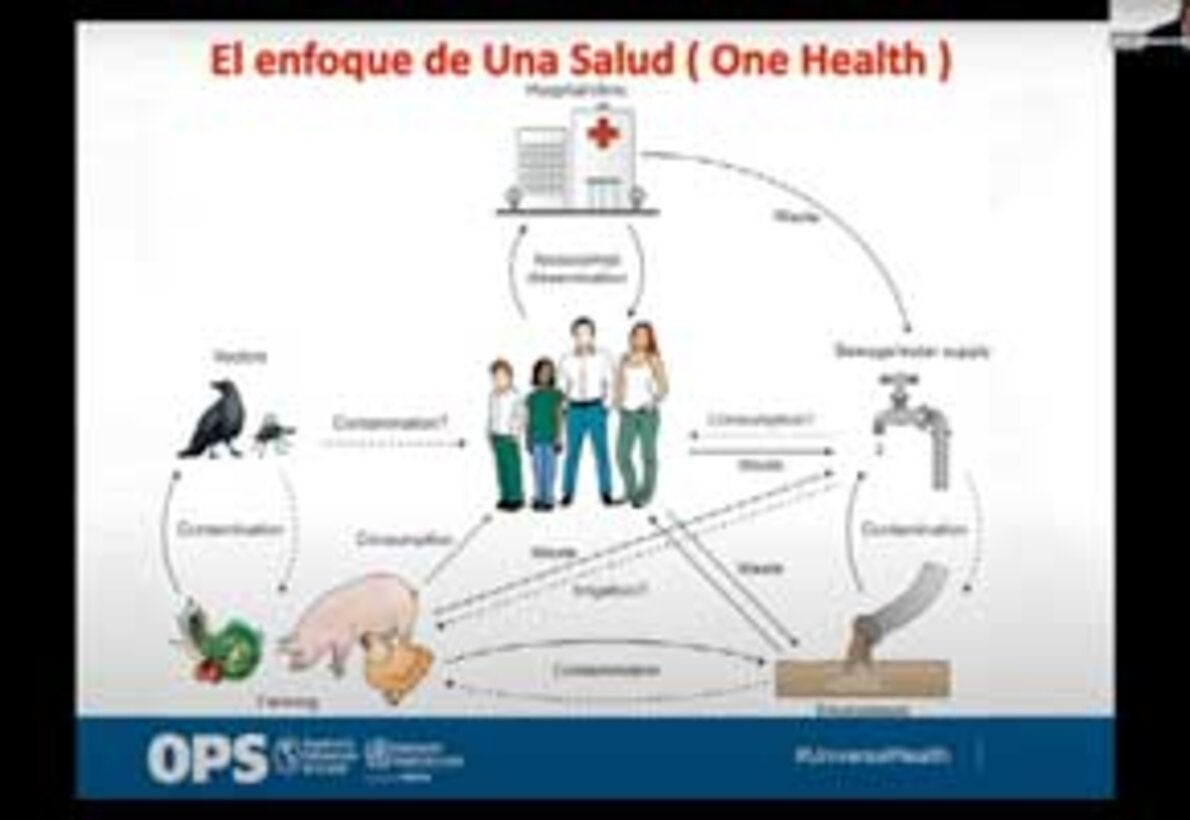 ¿Qué es la resistencia a los antimicrobianos? (en espagnol)
