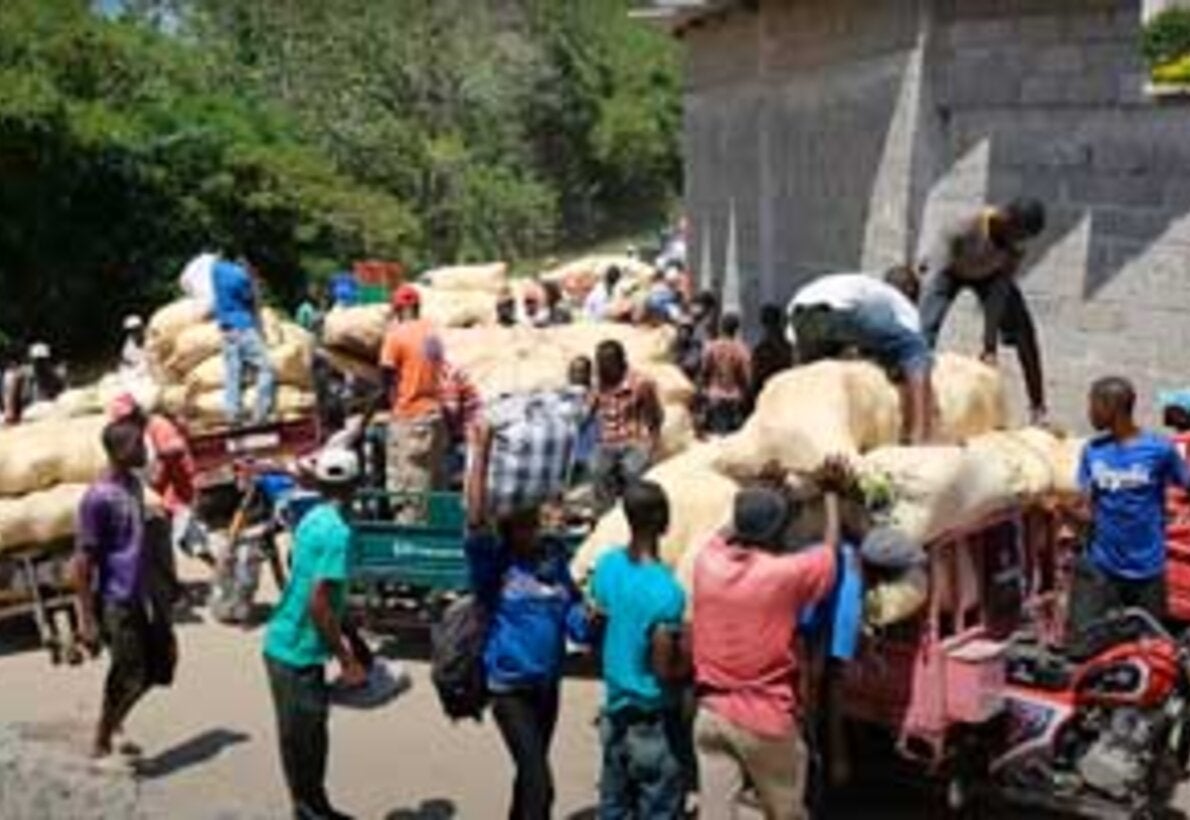 Country efforts towards malaria elimination in the Americas