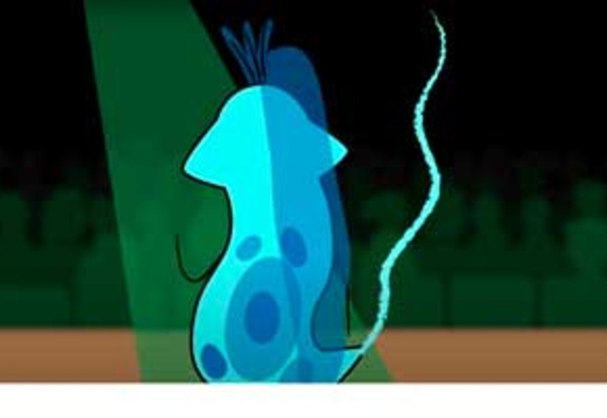 Chagas disease: blood transfusion