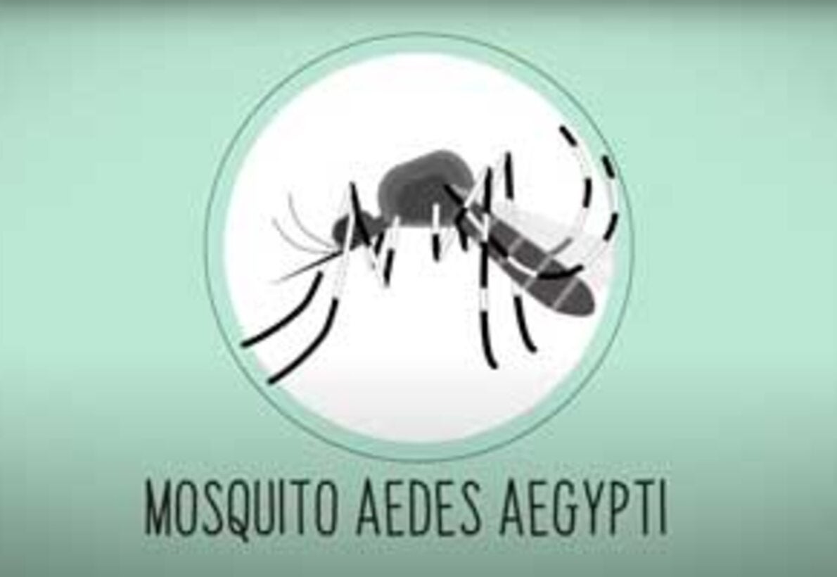 Síntomas del Dengue, Virus Zika y Fiebre Chikungunya