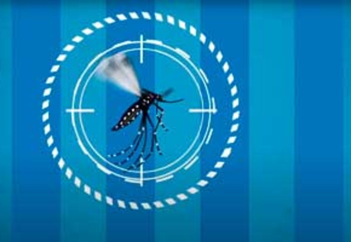 Zika, dengue y chikungunya