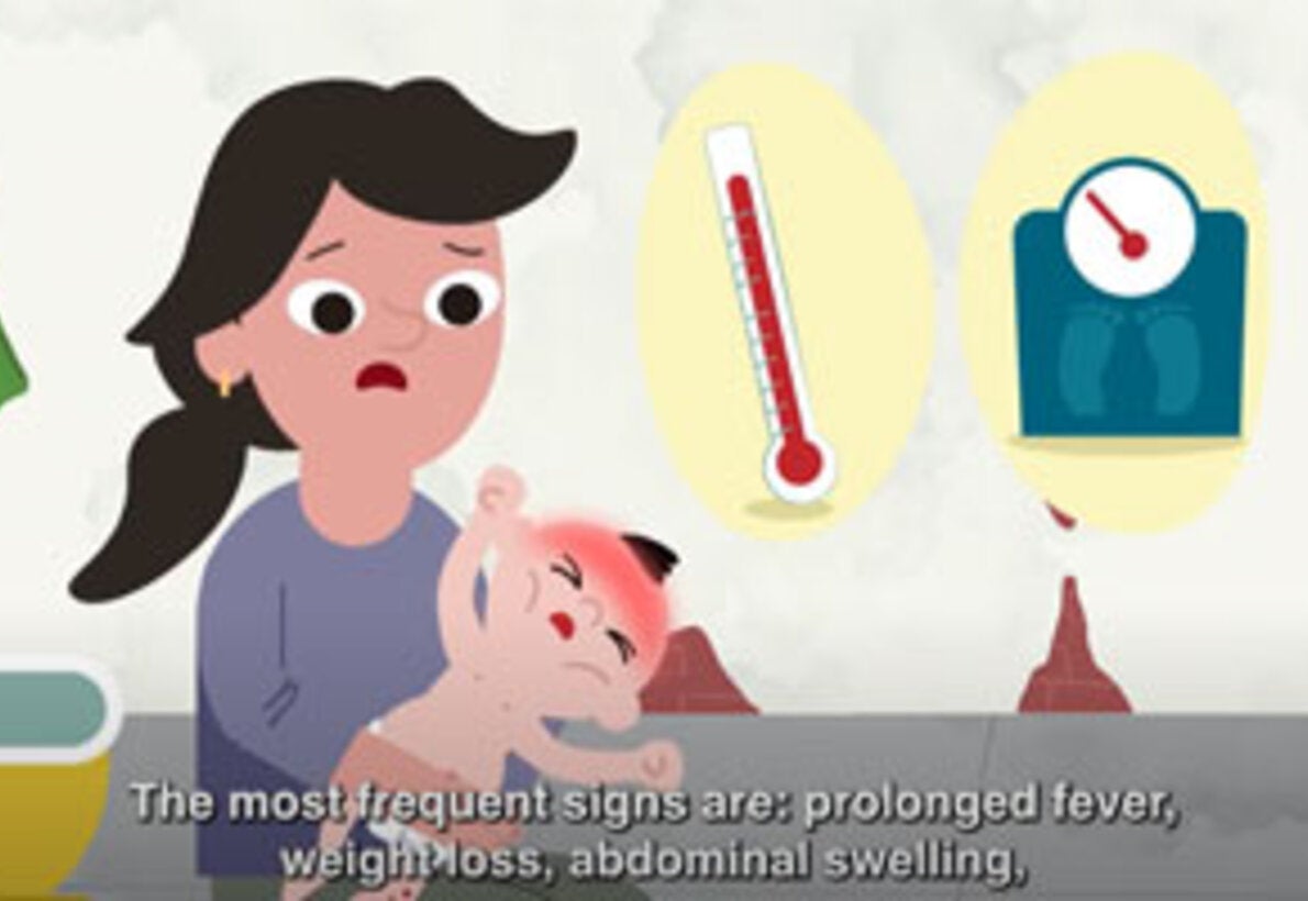 Visceral Leishmaniasis. Prevention, symptoms, and treatment