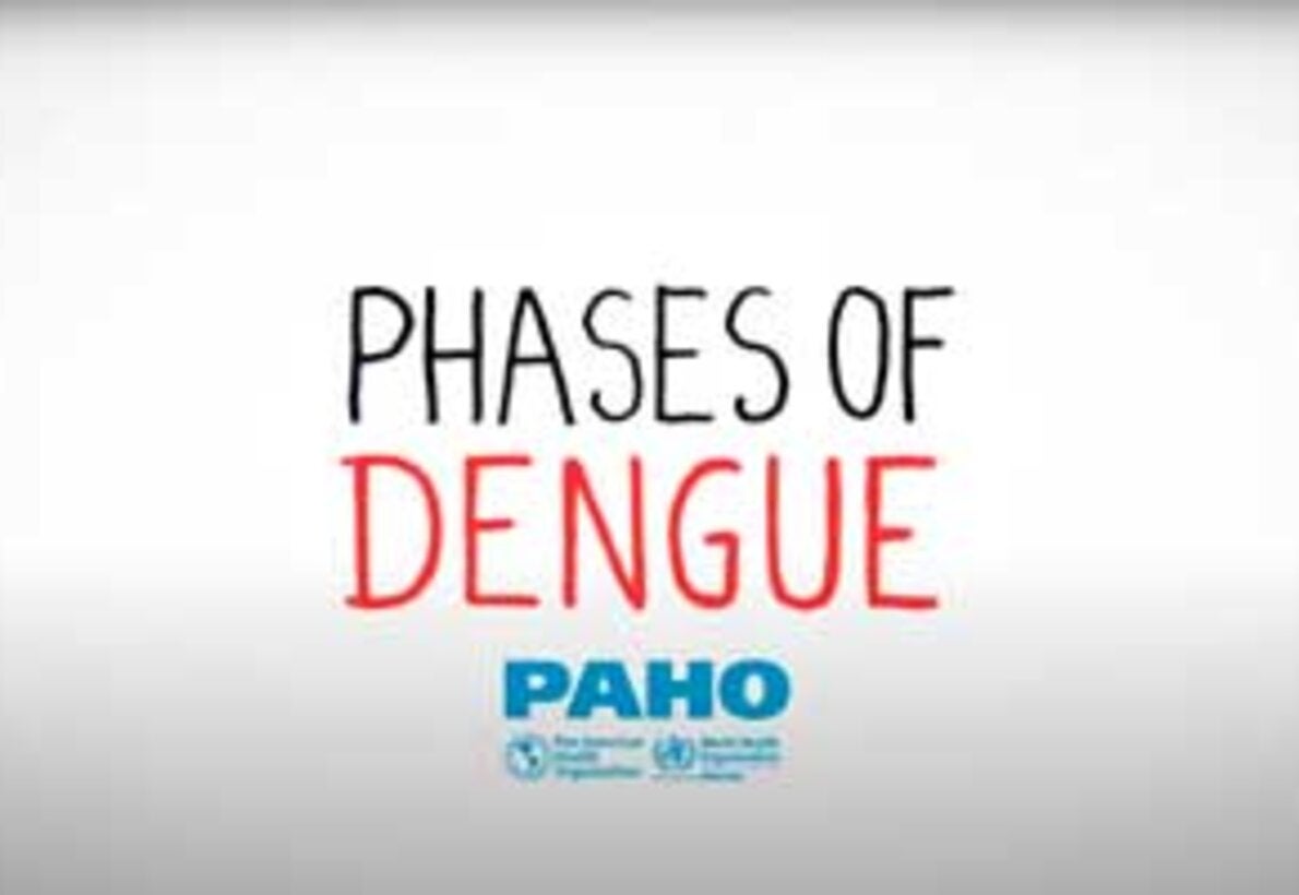 Phases of Dengue
