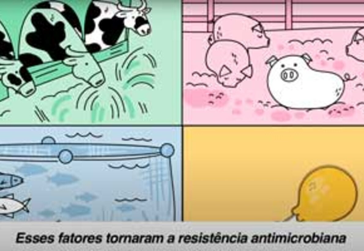 O papel dos trabalhadores da saúde na luta contra a resistência antimicrobiana
